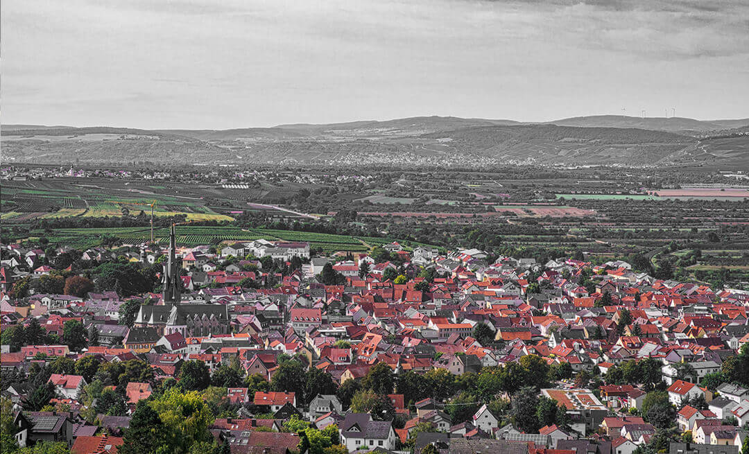 Aussicht über Gau-Algesheim - FITNESS PUR